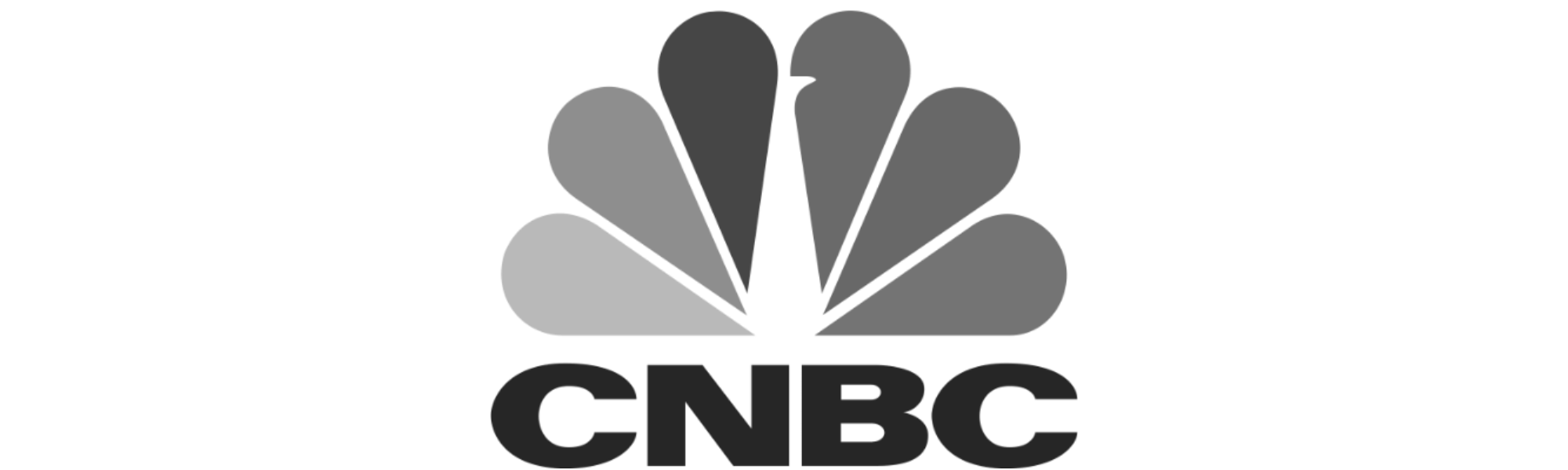 CNBCLogo (2000 × 600 px)
